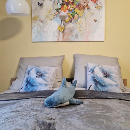 באנסקה ביסטריצה Veludo Apartments Centrum Free Parking מראה חיצוני תמונה